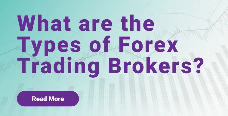 What are the Types of Forex Trading Brokers?