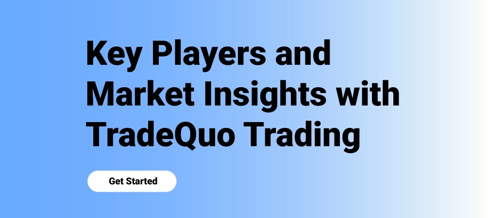 Key Players and Market Insights with TradeQuo Trading